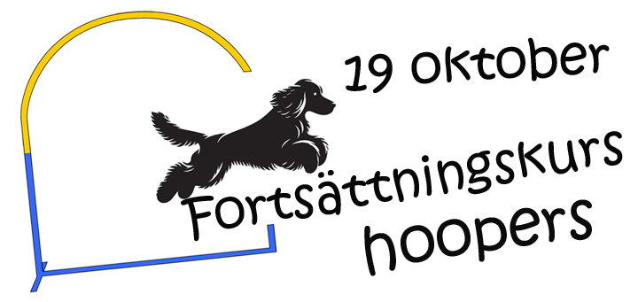 Fortsättningskurs hoopers